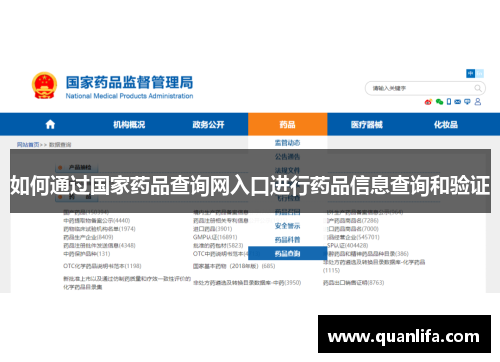如何通过国家药品查询网入口进行药品信息查询和验证