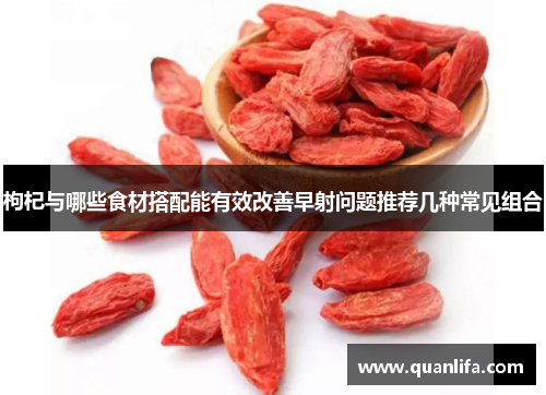 枸杞与哪些食材搭配能有效改善早射问题推荐几种常见组合